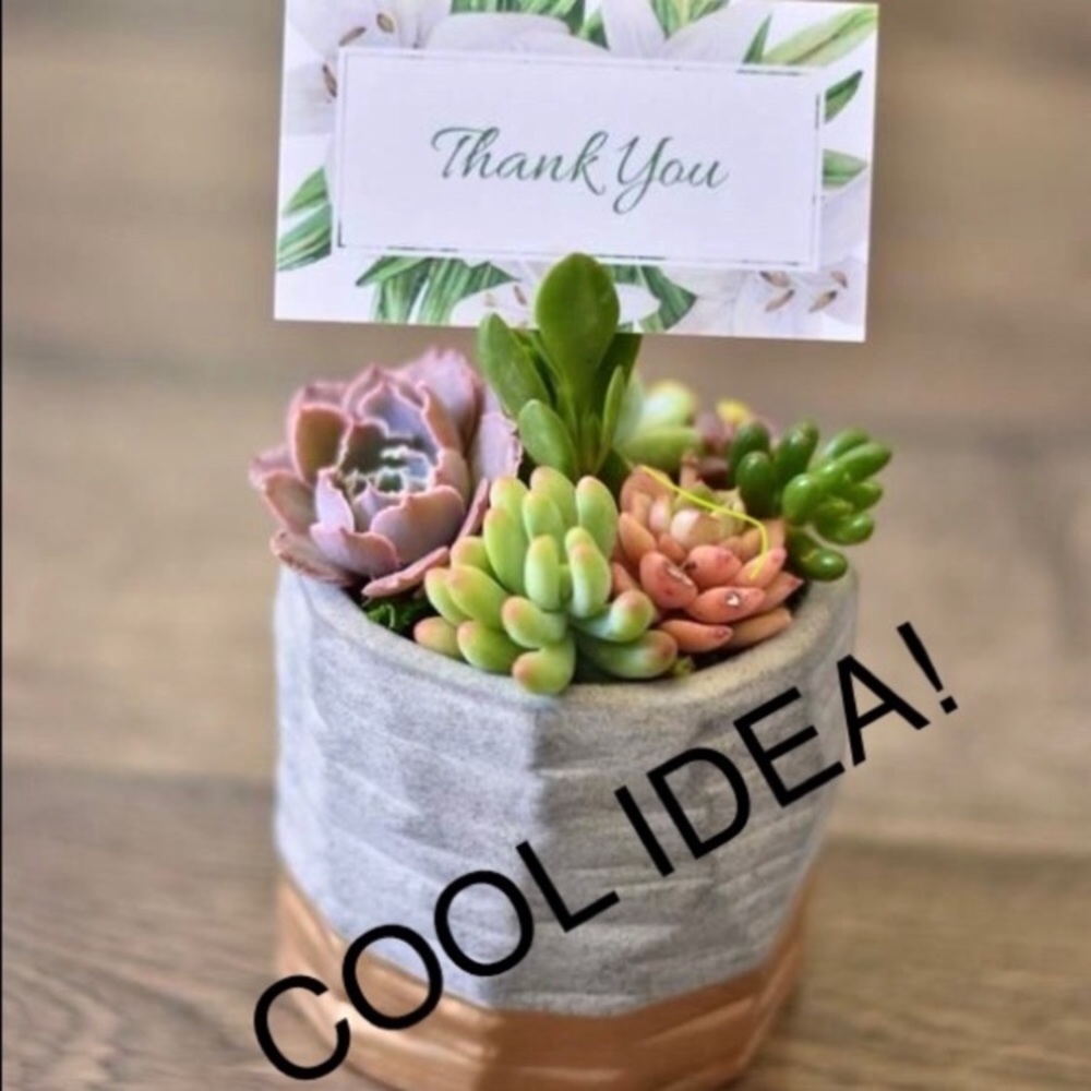 Mini 4” Porcelain Succulent Cactus Flower Planter - Picture 2 of 7